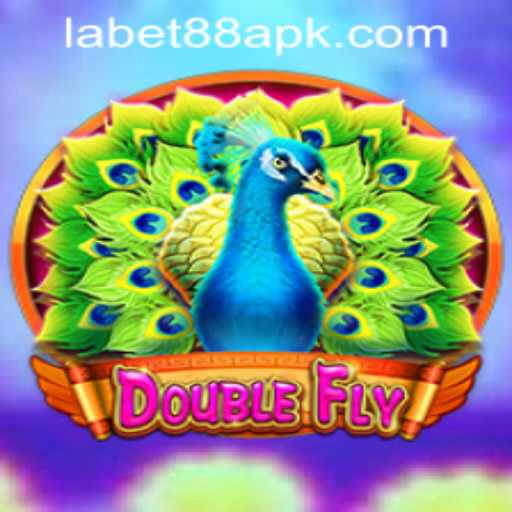 Dive into the Thrilling World of DoubleFly: An Exciting Gaming Experience