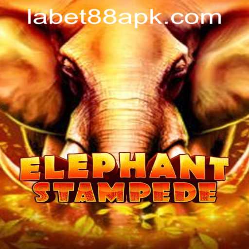 ElephantStampede: A Thrilling Adventure and Its Connection to LaBet88 App Login
