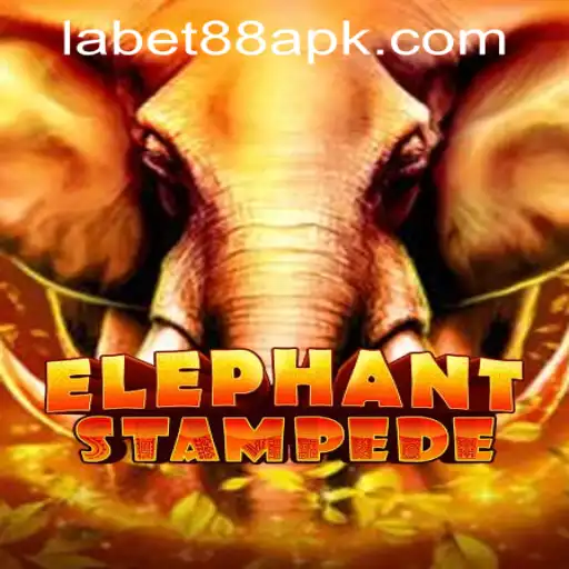ElephantStampede: A Thrilling Adventure and Its Connection to LaBet88 App Login