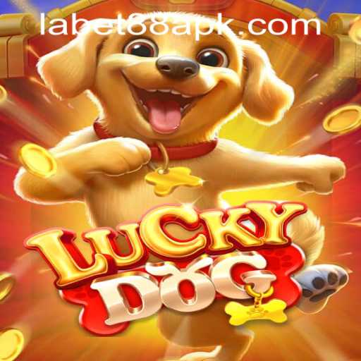 Exploring LuckyDog: A Comprehensive Guide to Playing and Winning