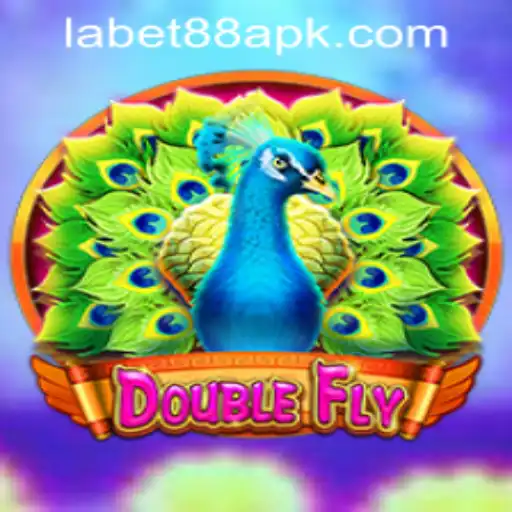 Dive into the Thrilling World of DoubleFly: An Exciting Gaming Experience