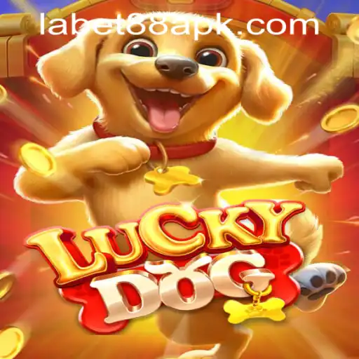 Exploring LuckyDog: A Comprehensive Guide to Playing and Winning